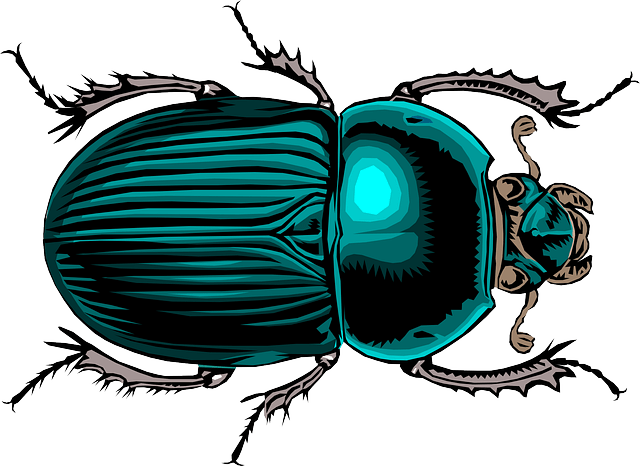 The dung beetle - Aristophanes Peace