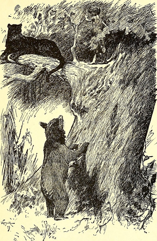 The Jungle Book by Rudyard Kipling - Rise of novel